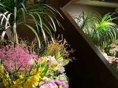 -春暖花开(西溪店)