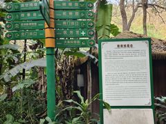 -野象谷景区