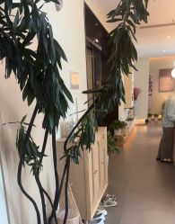 -Dr.林醫生产后修复·超级店(南京江宁同曦店)