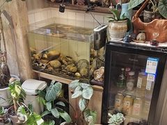 -Rabbit Cafe私房西餐甜点咖啡(栖霞路店)