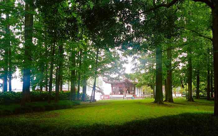 学士公园-"晚上在南山路上的胡庆余堂吃完药膳,吃得非.