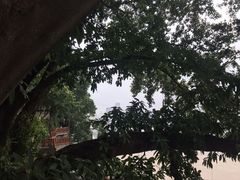 -正南齐北·老街糯米团(洪崖洞店)