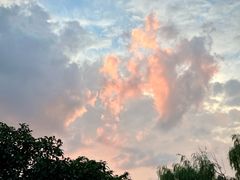 -武昌中华路码头(轮渡站)