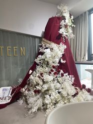 -ST时柒·问题肌抗衰美颜所