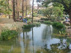 -人民公园(罗湖区)