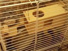 -龙猫仔乐园(惠福东路店)