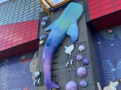 -大阪海游馆