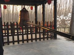 -合肥滨湖国家森林公园