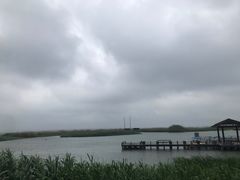 -苏州太湖湖滨国家湿地公园