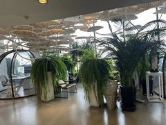 -哈尔滨圣安口腔专科医院