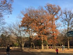 -井之头恩赐公园