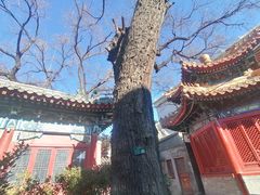 -贤良祠