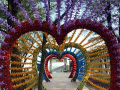 -北海金海湾红树林生态旅游区