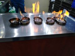 熊熊烈火-安安宠医宠物医院·异宠·犬猫内科(岳阳分院)