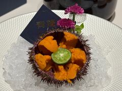 马粪海胆-青蓬蒸汽海鲜·深圳老字号·团建聚会(壹方城店)
