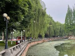 -温江公园