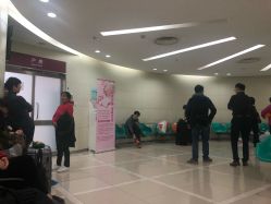 -中国福利会国际和平妇幼保健院(徐汇院区)