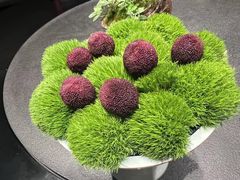 -会仙楼(金融街店)