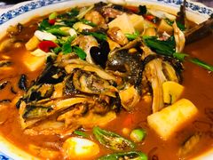 鱼头煲-山外山菜馆(玉泉路店)