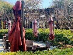 -荷风细雨·中国茶宴(碧云店)