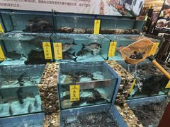 -有腥气私房菜·寻味顺德