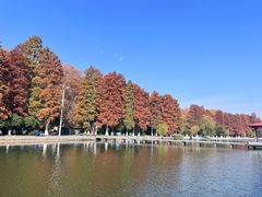 -东湖听涛景区