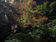 -润泽天·湘味家宴(岳麓山店)