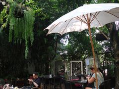 -Fern Forest Cafe