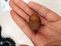 -阿男野栗王(金门路店)