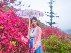 -木兰云雾山