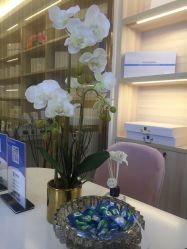 -Dr.ACNE痘院长祛痘皮肤管理连锁