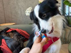 -山下C5cafe(惠通时代广场店)