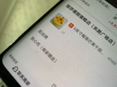 -丽莎蓓甜CAKE生日蛋糕·动物奶油(石家庄店)