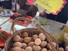 -马陆小张葡萄园农家乐