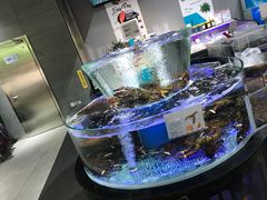 -盒马鲜生(悠方店)