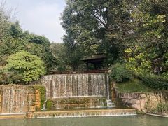-成飞公园