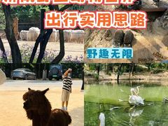 -济南野生动物世界