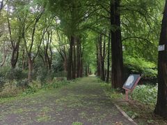 -上海滨江森林公园