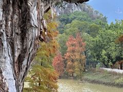 -星湖旅游景区七星岩