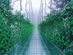 -石燕湖生态旅游景区