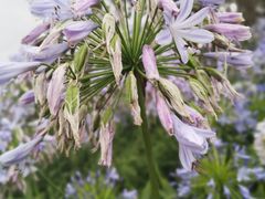 -云漫湖生态度假公园