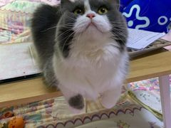 -宠颐生汉谟拉比宠物医院