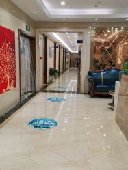 -碧莲盛·不剃发植发