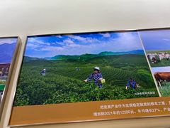 -中国农业博物馆