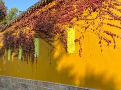 -西园寺素食(西园弄戒幢律寺店)