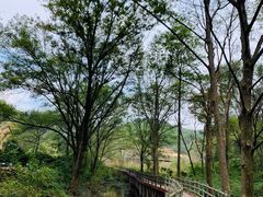 -木兰云雾山