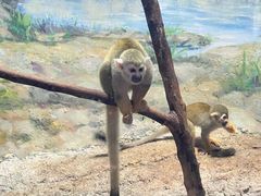-福州罗源湾海洋世界旅游区