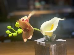 -IFIF 如果花園(宽厚里店)