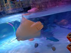 -沈阳海洋探索中心