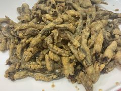 -老蒲鲜·地标·非遗美食(涵江店)